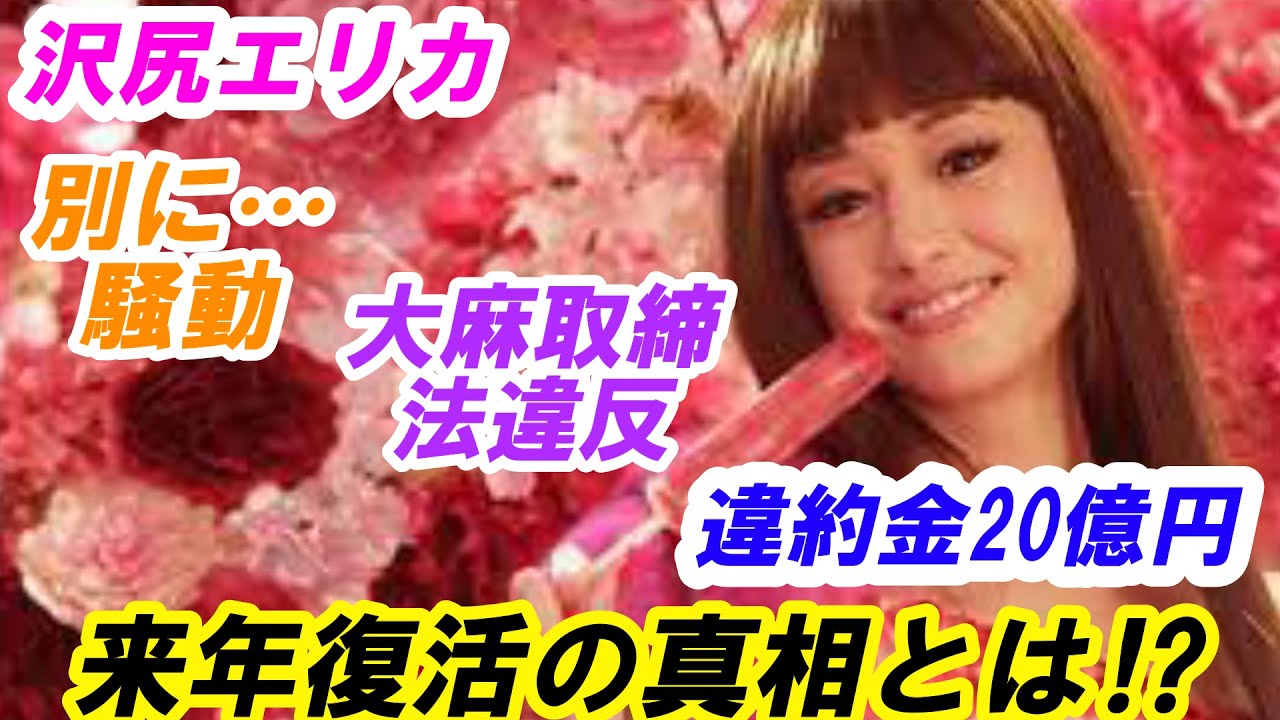 沢尻エリカ 「別に…」騒動 大麻での逮捕 違約金20億円など 来年 2023年 芸能界復帰! その真相とは?