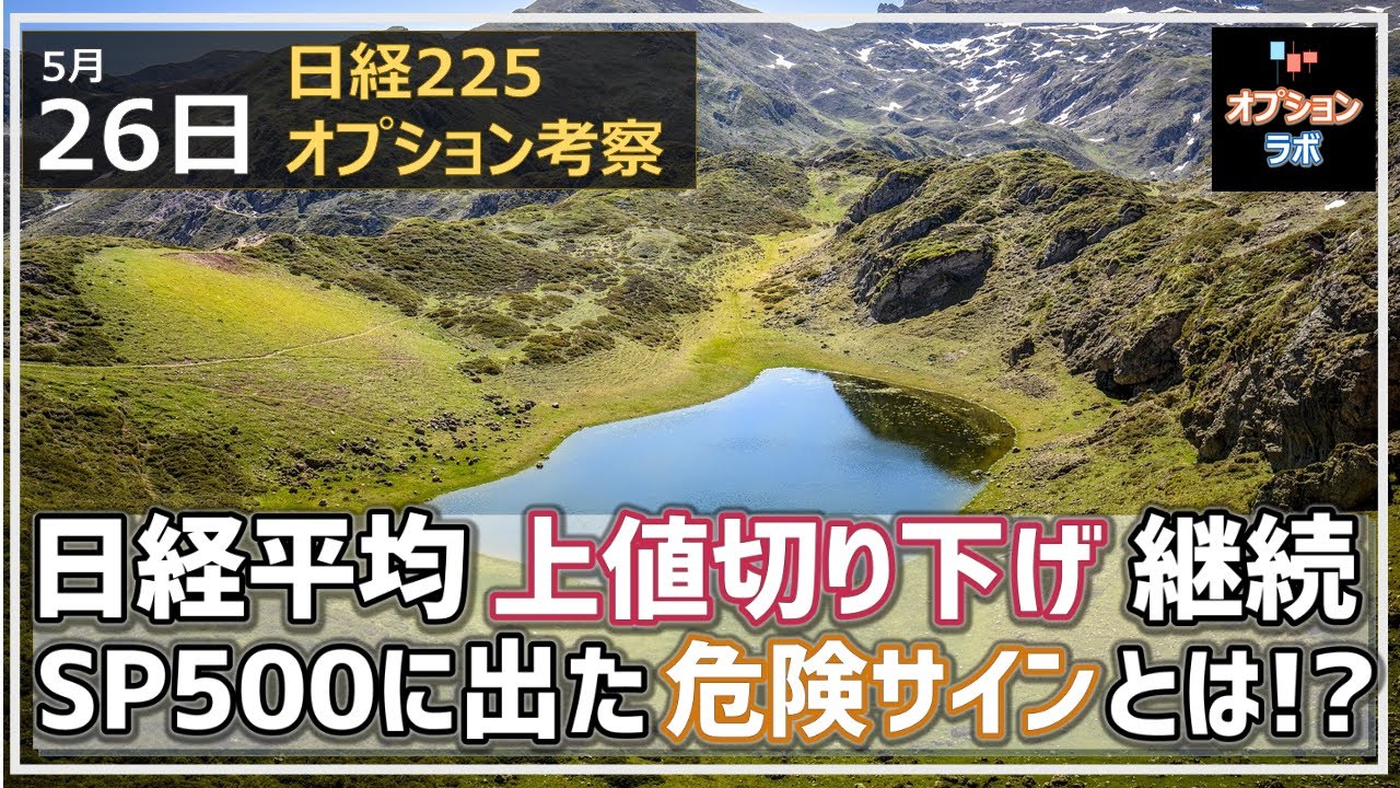 【日経225オプション考察】