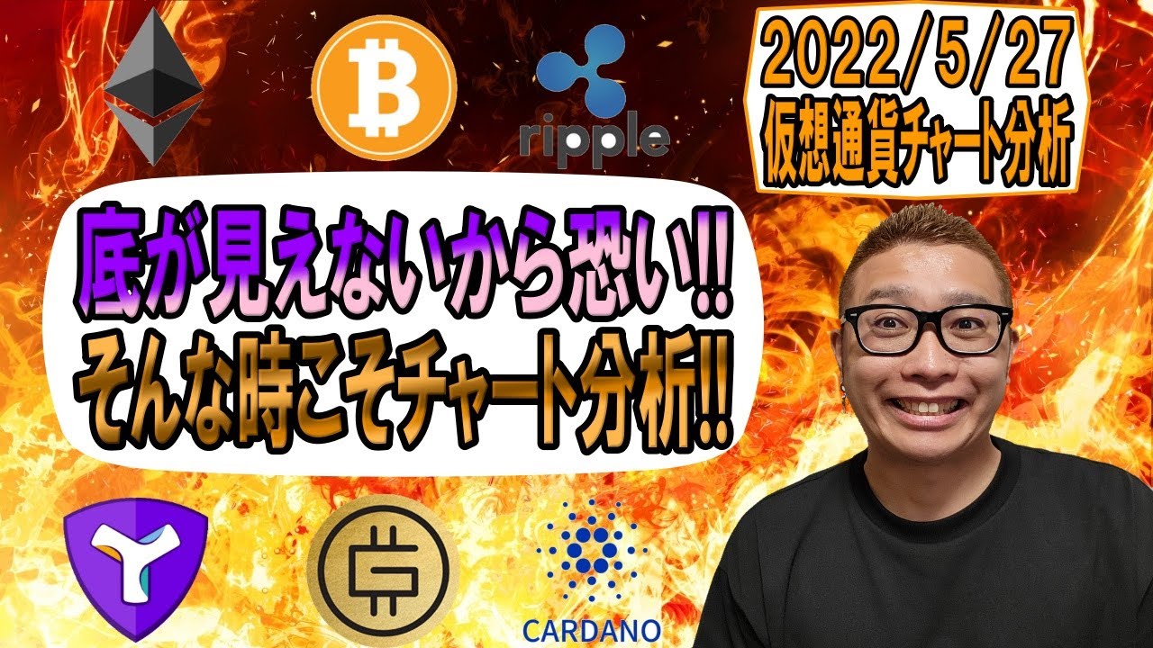 【仮想通貨 ビットコインBTC & アルトコイン 分析】底が見えないから怖いんだ!!そんな時こそチャート分析!!