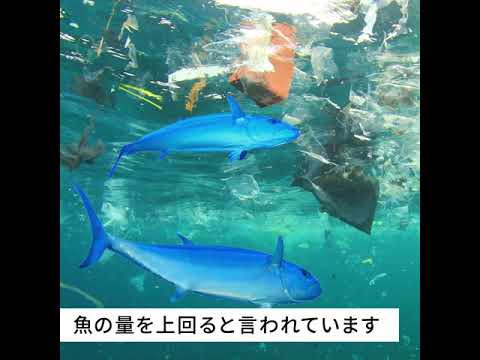 プラスチックごみによる海洋汚染に迫る!