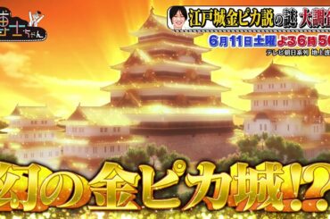 6月11日(土)サンドウィッチマン&芦田愛菜の博士ちゃん 徳川家康の江戸城は金ピカ城だった!?石原良純&小芝風花と壮大な歴史の謎に迫る!