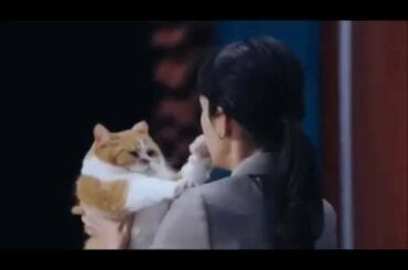 【耐久動画】桐谷美玲とふてニャンの10分ワンキュッパ Y!mobile「News 学割」篇 CM【ゲシュタルト崩壊】