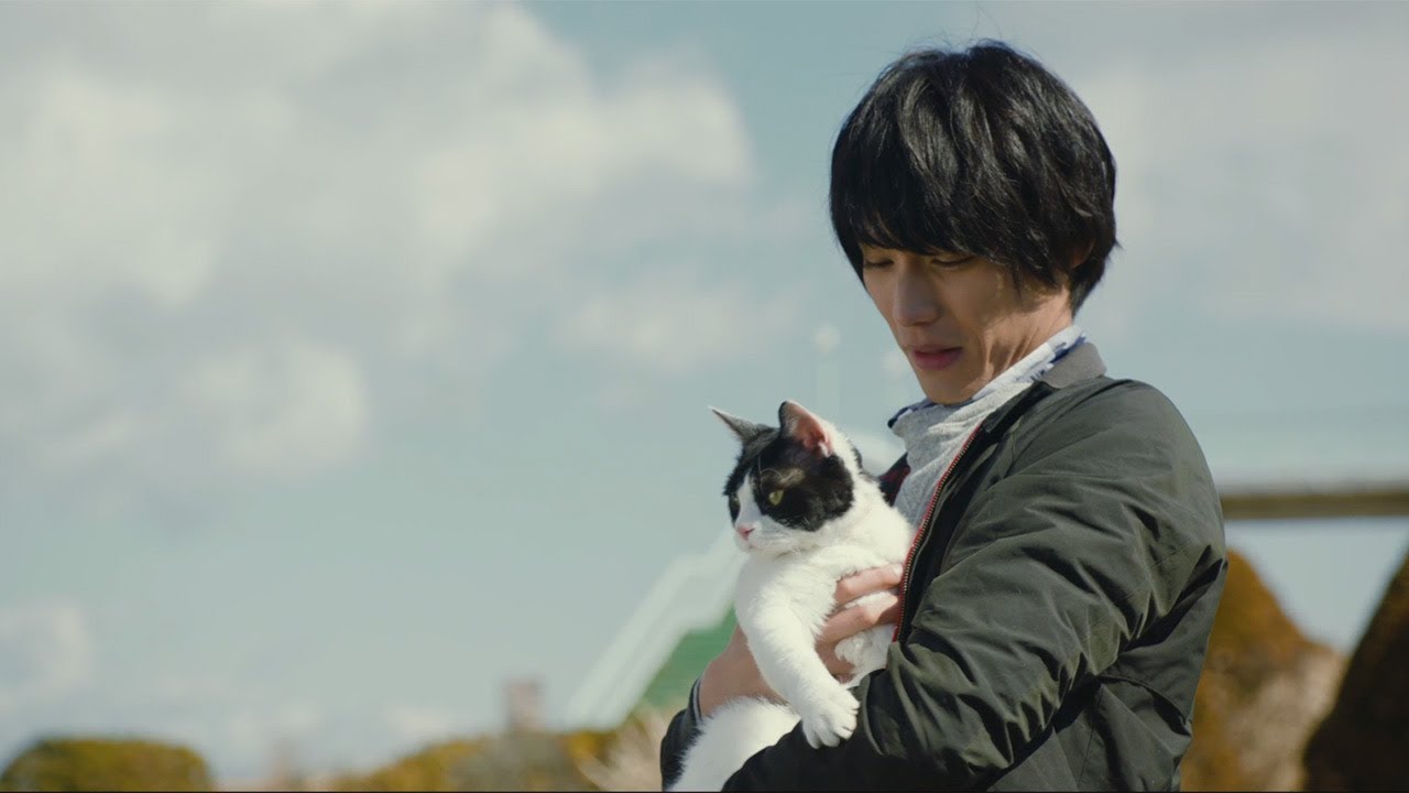高畑充希がまさかの猫役 福士蒼汰主演映画「旅猫リポート」特報が公開