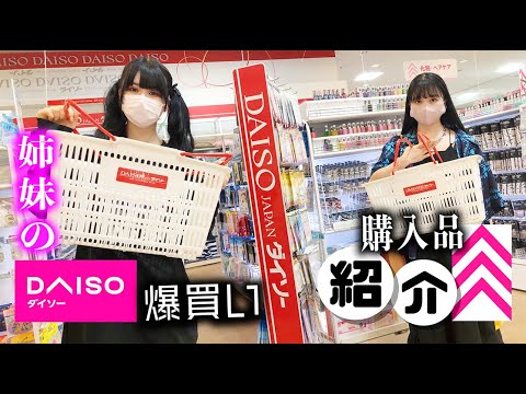 DAISO【ダイソー】ほのぼのと爆買い【のえのん】
