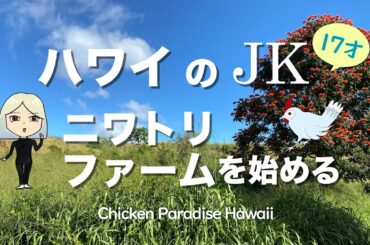 ハワイのJKニワトリファームを始める!EP001 私の1日!#4K #ニワトリ #チキンパラダイスハワイ