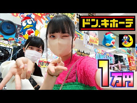 ドン・キホーテで1万円チャレンジな姉妹の爆買い【のえのん】