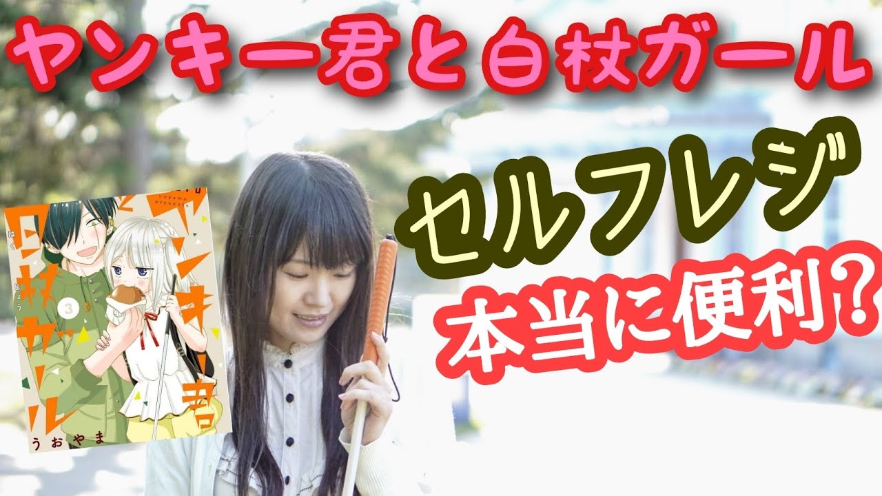 【視覚障害とセルフ】ヤンキー君と白杖ガール【漫画解説】