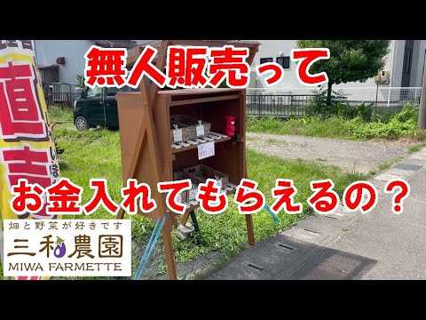 無人販売って野菜盗られない?お金入れない人がいるんじゃない?三和農園の販売状況をご紹介!NO500(202.7.21)