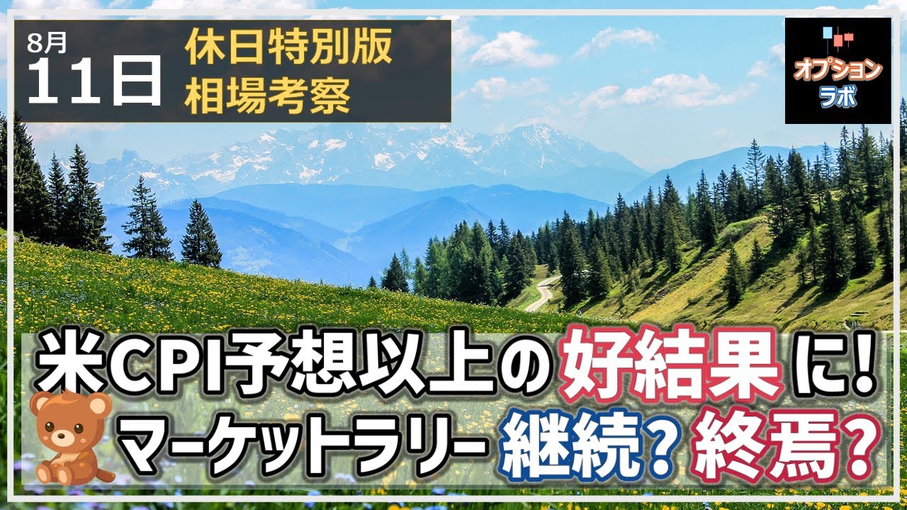 【日経225オプション考察】8/11 米CPI 予想以上の好結果に! ベアマーケットラリーは継続なのか、それとも終焉?