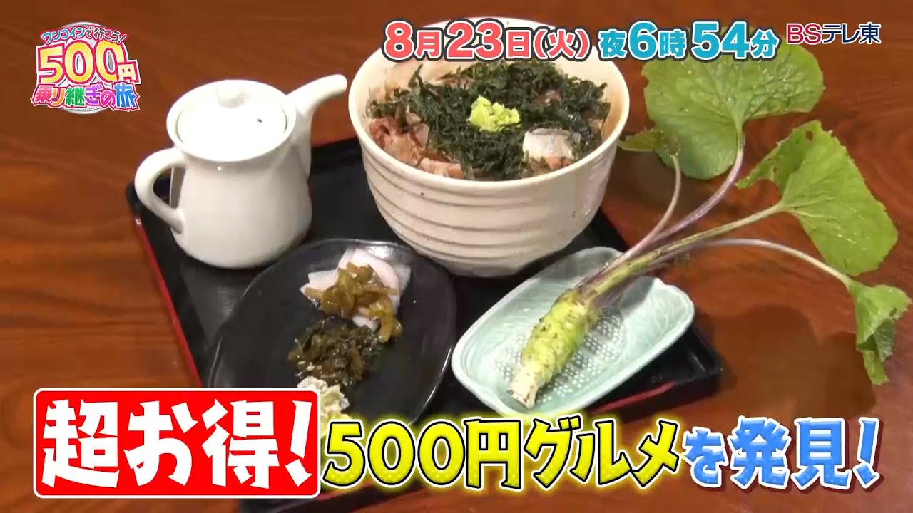 ワンコインで行こう!500円乗り継ぎの旅 | BSテレ東