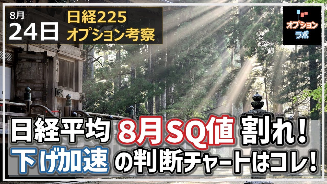 【日経225オプション考察】8/24 日経平均 重要な8月SQ値28525円割れ! 下げ加速の判断チャートはコレだ!