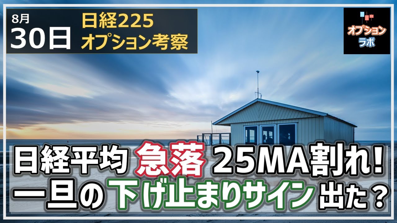 【日経225オプション考察】8/30 日経平均急落であっという間に25MA陥落! 急落の後の一旦の反発サインは出た?それとも暴落開始?