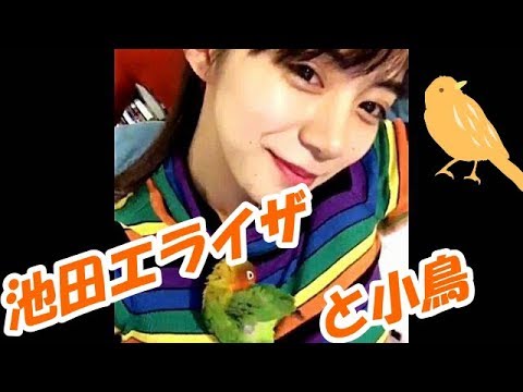 【動画】池田エライザ ペット小鳥ちゃんと!