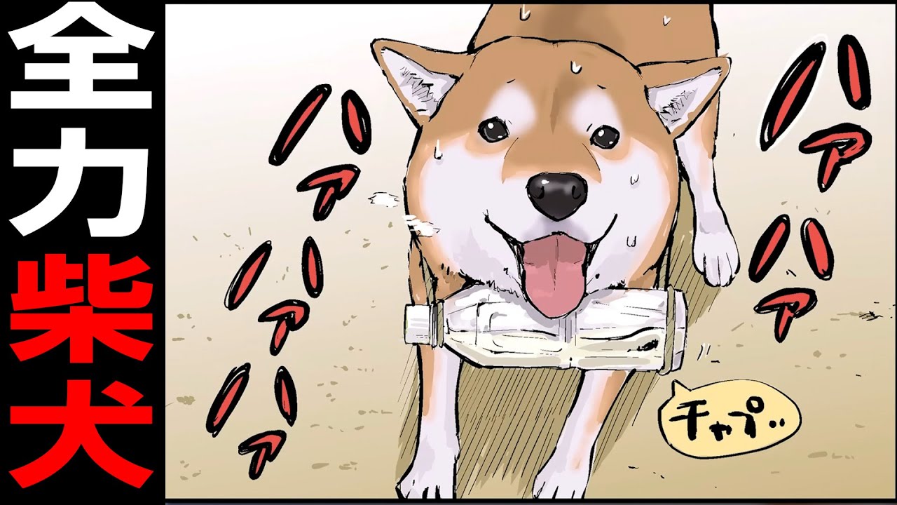 世界が終わってもパンを食べたい柴犬の名言【世界の終わりに柴犬と】