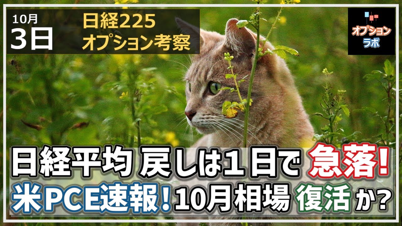 【日経225オプション考察】10/3 日経平均 戻し相場は1日で急落へ逆戻り。米PCE速報も入れて10月相場復活なるかを考察!
