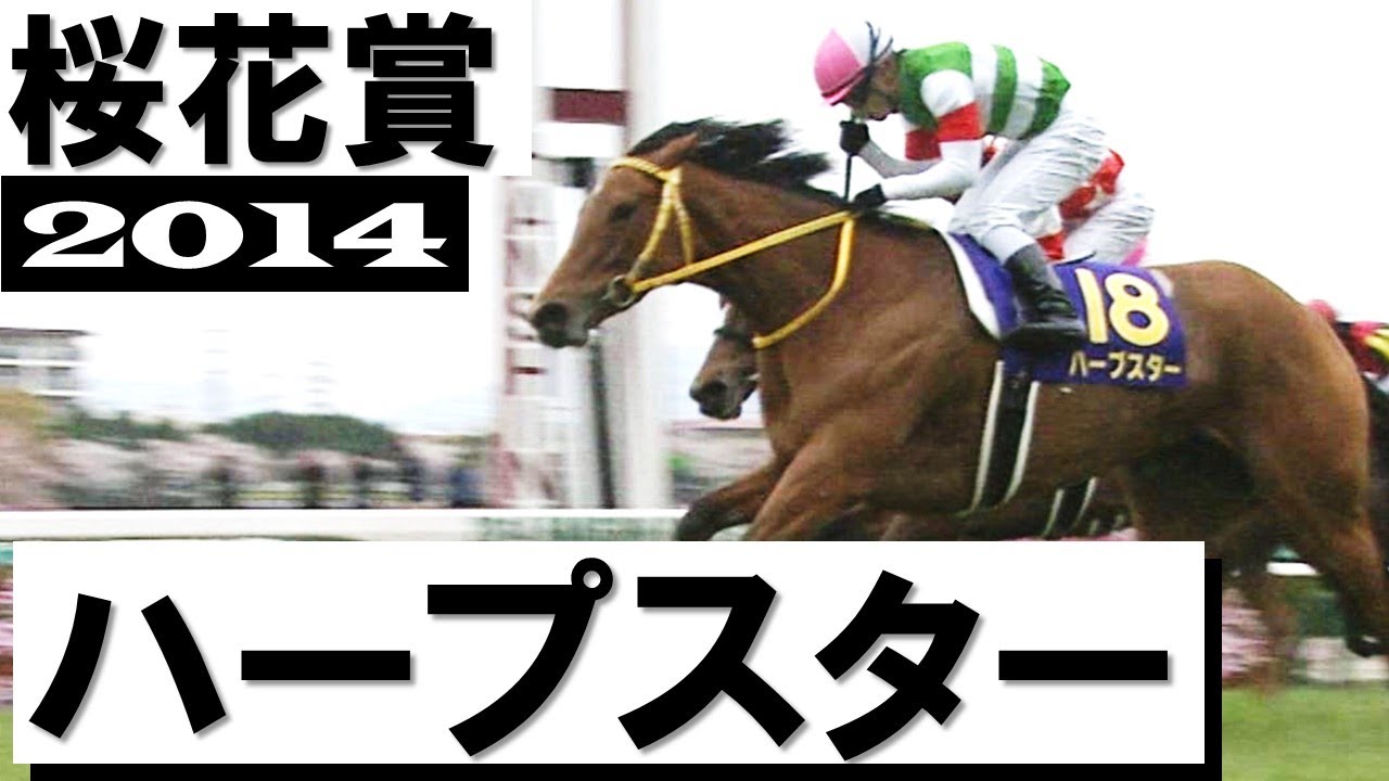 「ターフに輝く1等星!ハープスターです」【桜花賞2014】実況:吉原功兼アナ