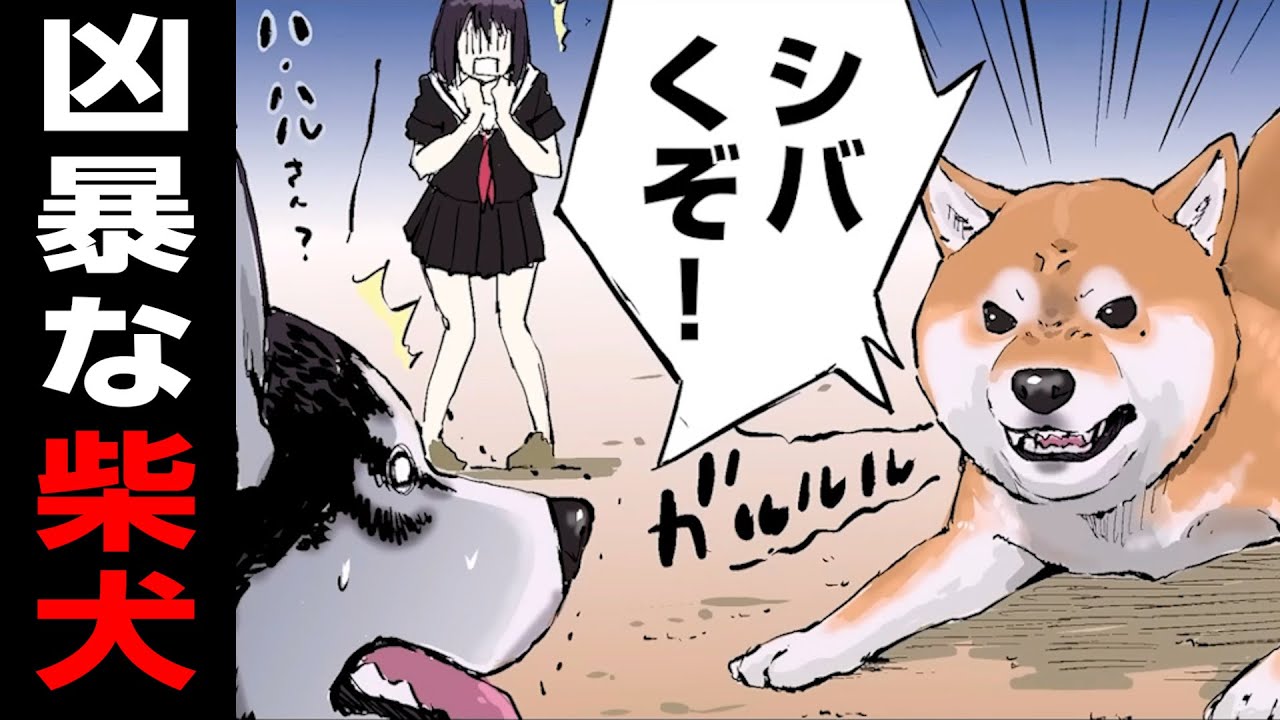 ご主人と入れ替わった!?柴犬の名言【世界の終わりに柴犬と】