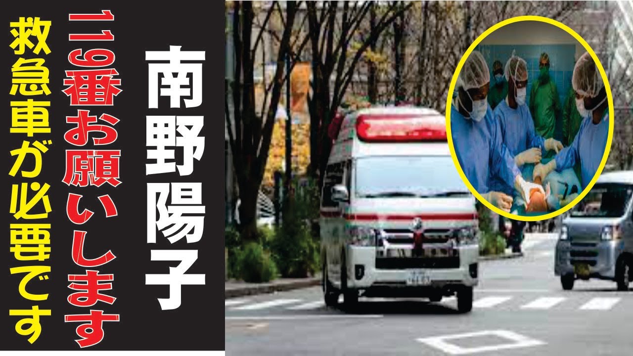 南野陽子の現在!今現在の様子がヤバすぎる・・・