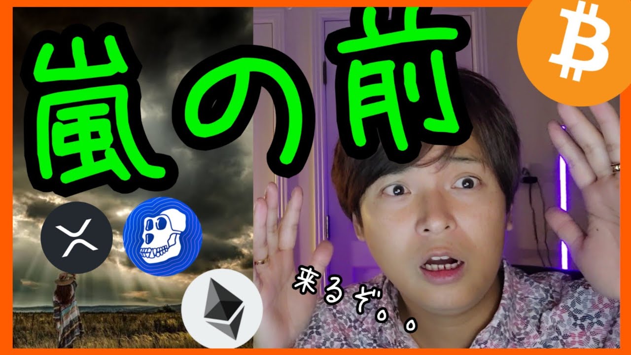 仮想通貨に嵐が来るぞ。買う?