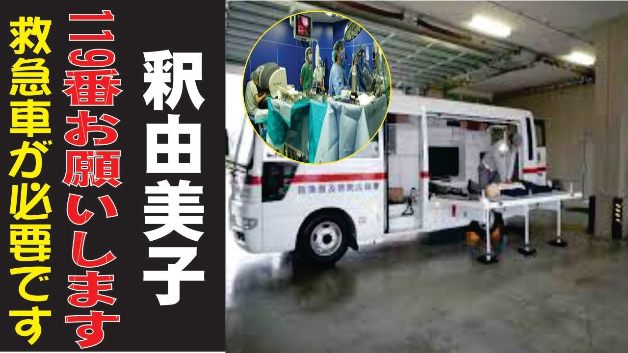 釈由美子の現在!今現在の様子がヤバすぎる・・・