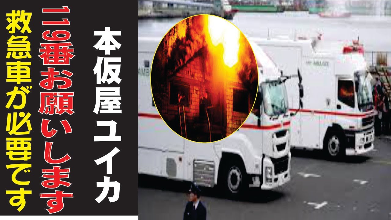 本仮屋ユイカの現在!今現在の様子がヤバすぎる・・・