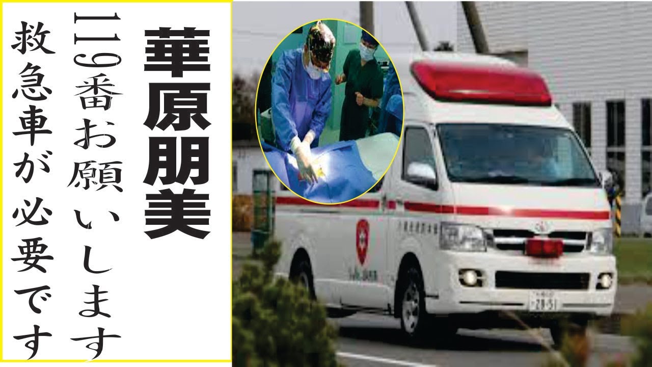 華原朋美の現在!今現在の様子がヤバすぎる・・・