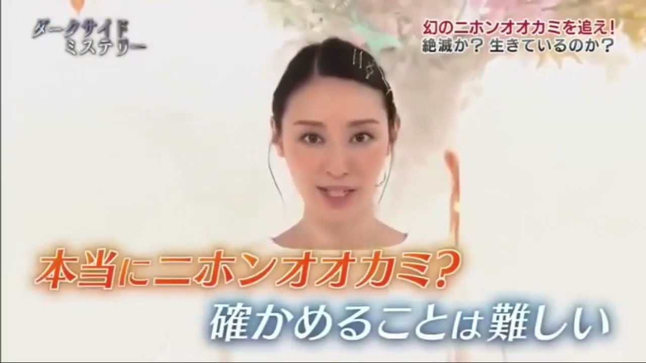 ダークサイドミステリー「幻のニホンオオカミを追え!」、