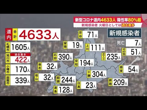 北海道4633人感染 PCR検査陽性率80パーセント超 発熱・のどの痛み自覚したらコロナ感染疑って (22/08/02 18:30)