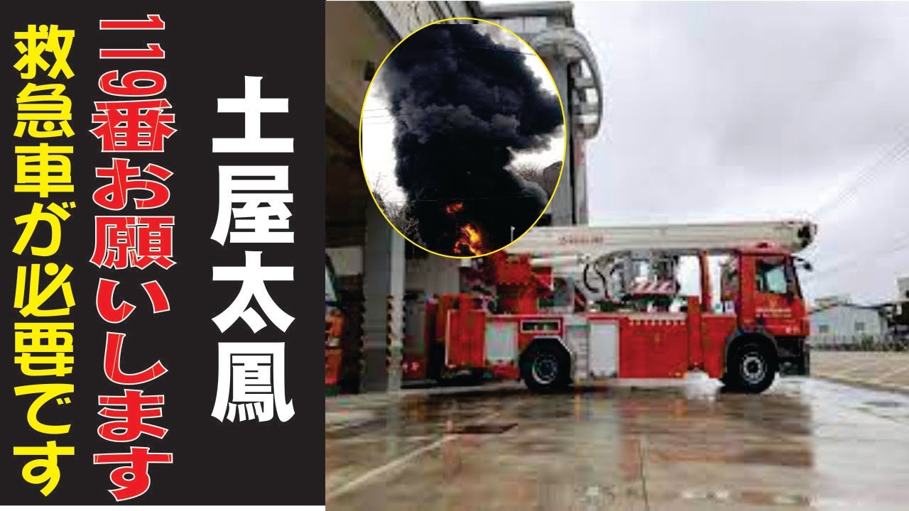 土屋太鳳、現在の生活が衝撃すぎた…