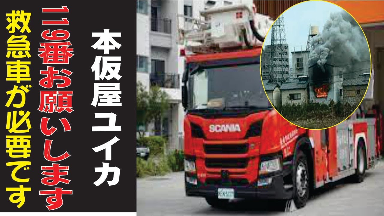 本仮屋ユイカ、現在の生活が衝撃すぎた…