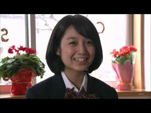 特捜弁護士・橘竜太郎−雪冤の旅−