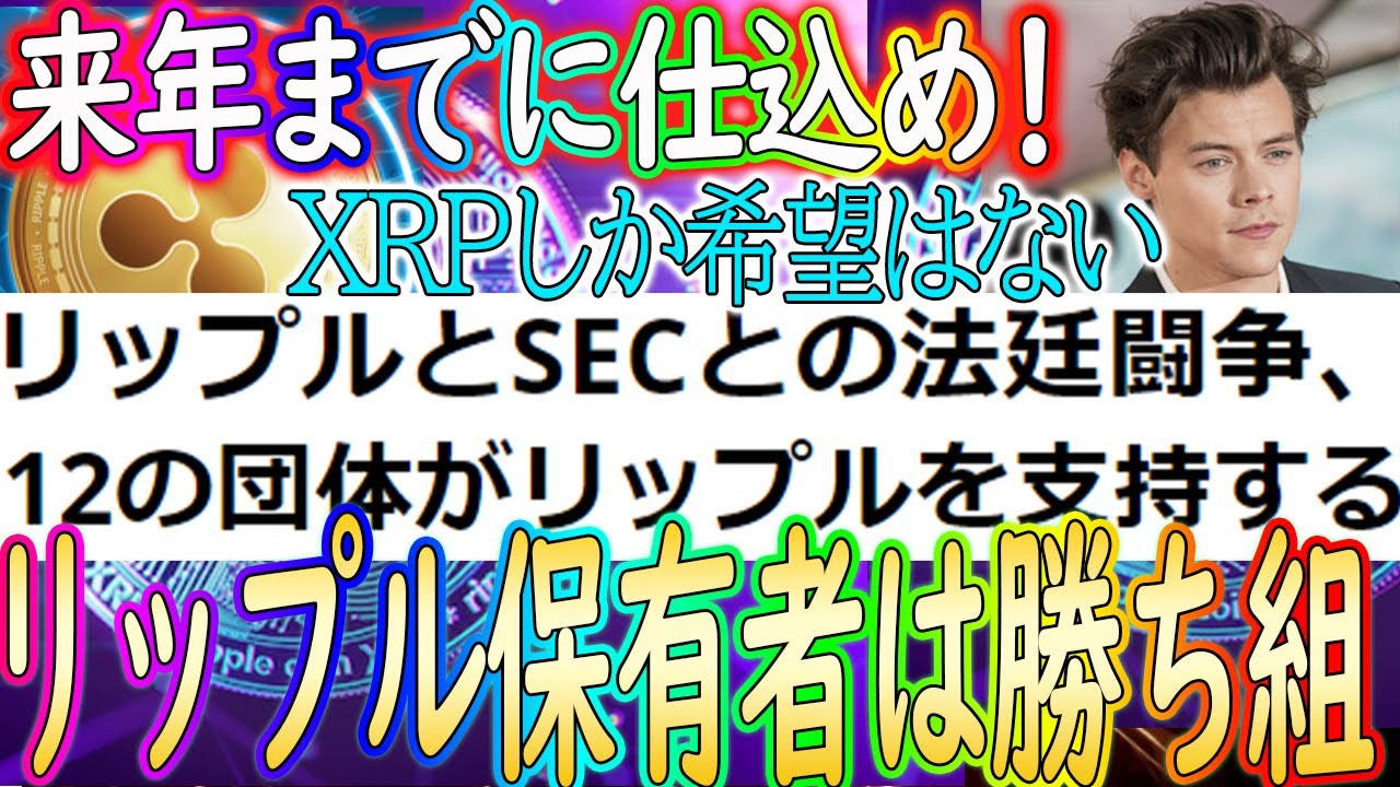 【リップル来年に確定上昇!】裁判に進展!12もの団体が擁護【仮想通貨/暗号資産】【XRP】
