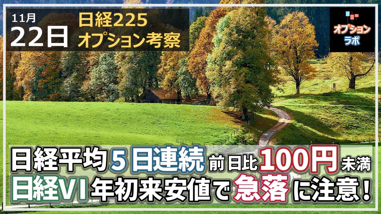 【日経225オプション考察】11/22 日経平均 5日連続で前日比100円未満の動き。日経VIは年初来安値で急落に注意!