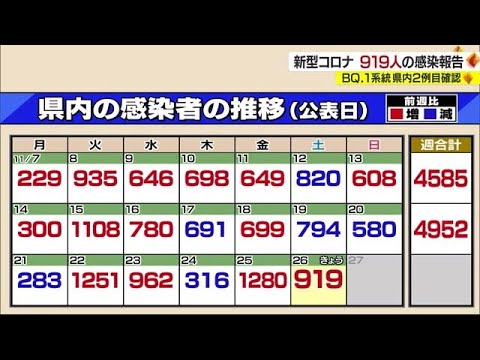 新型コロナ 新たに919人の感染発表 県内2例目のBQ.1系統確認【愛媛】 (22/11/26 18:00)