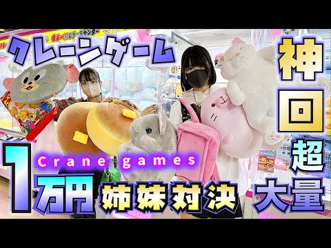 【神回】クレーンゲーム姉妹1万円対決!大量すぎて…【のえのん】