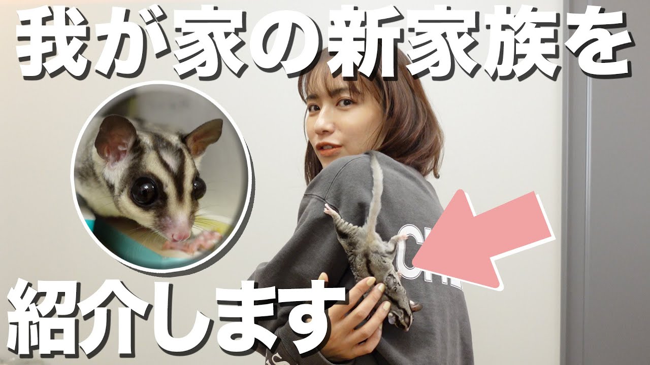 【モンちゃん】我が家の小さい新家族をご紹介します!!