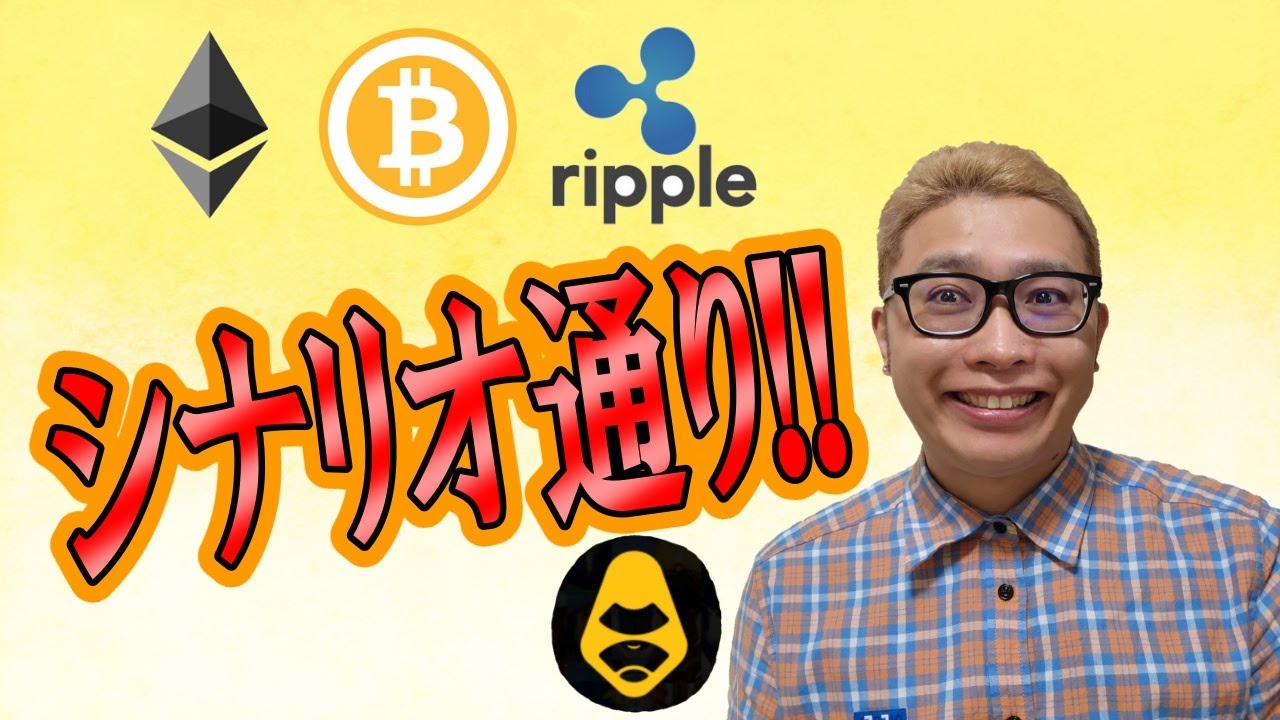 【仮想通貨 ビットコインBTC & アルトコイン 分析】シナリオ通り!!!