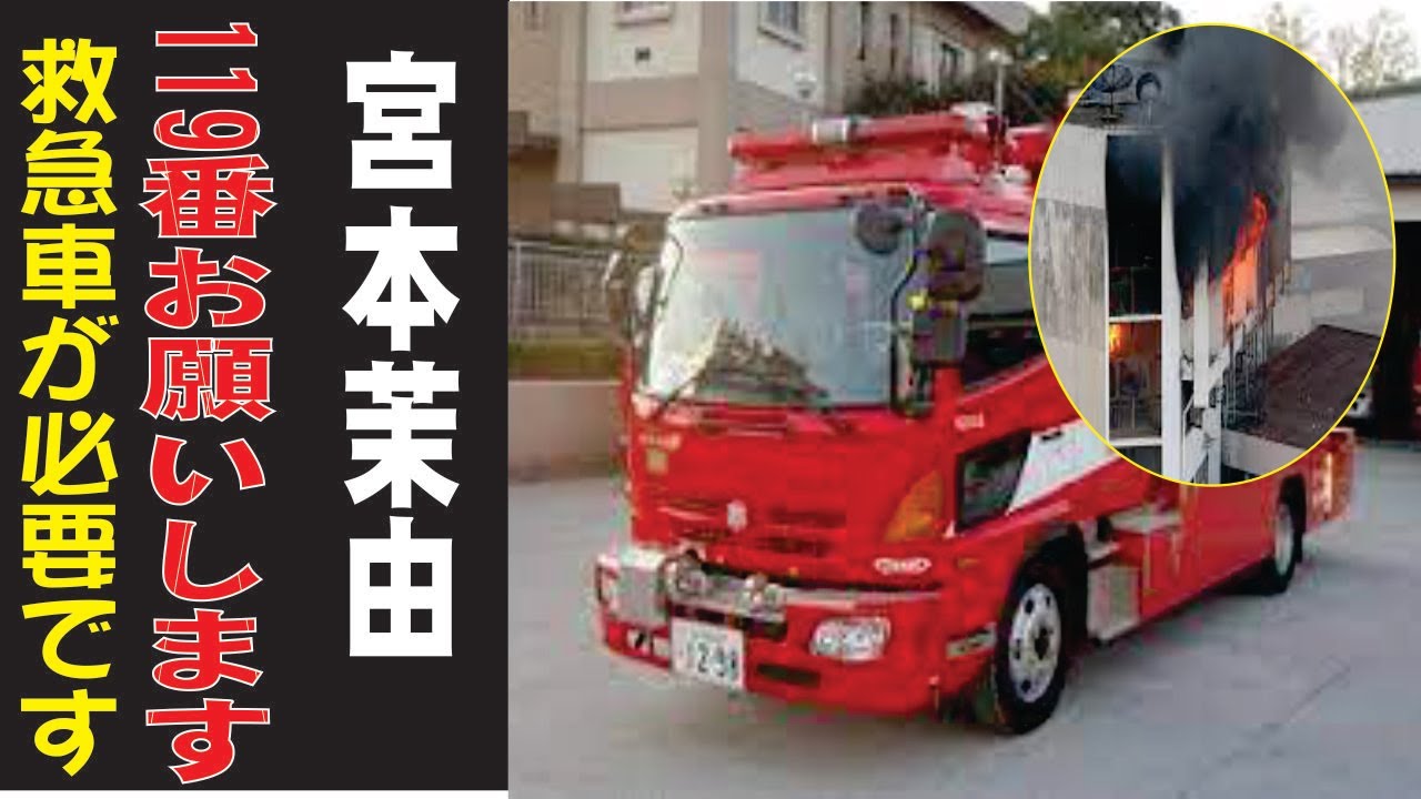宮本茉由、現在の生活が衝撃すぎた…