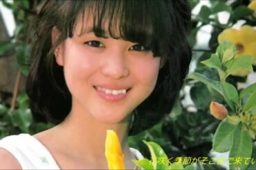 松田聖子 / 少しずつ春