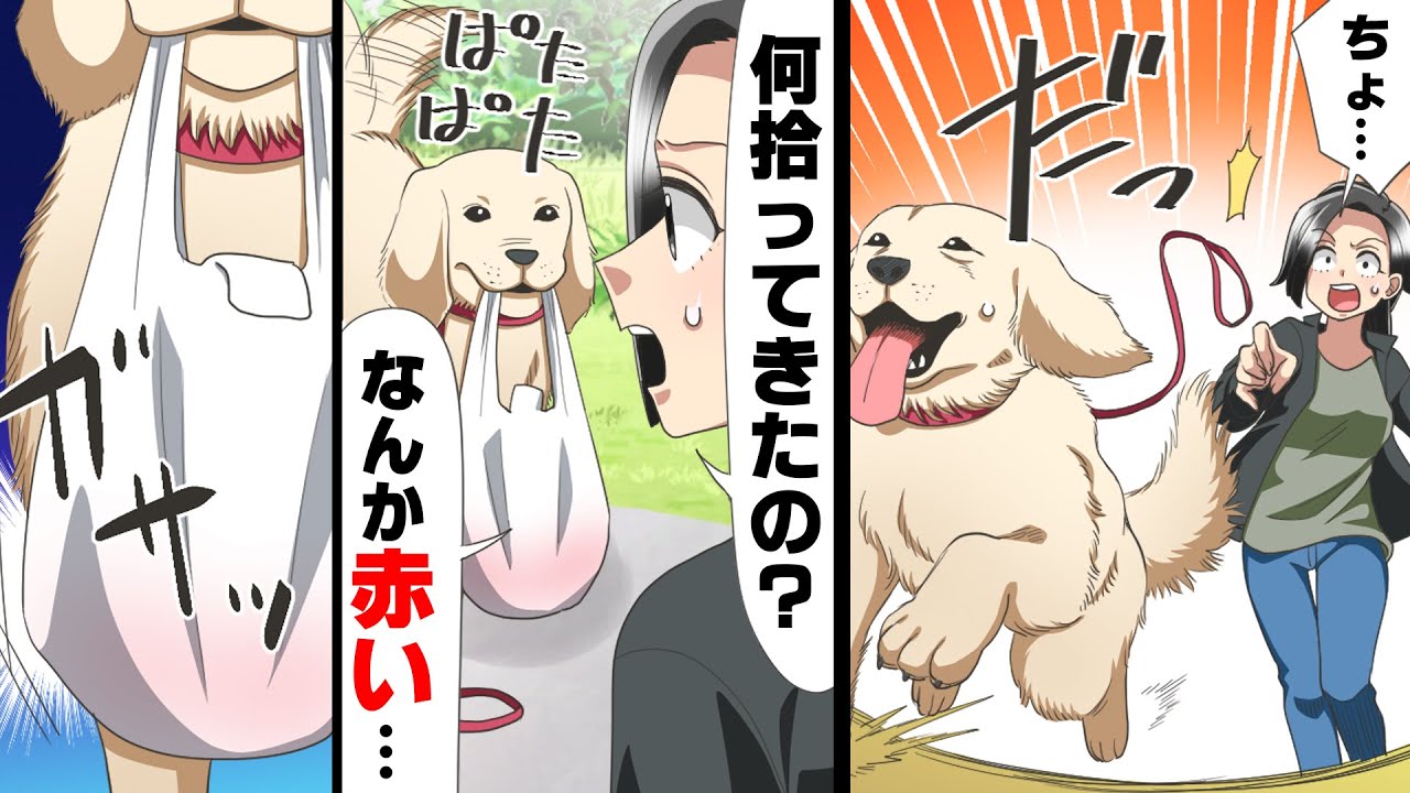 【漫画】散歩中、いつもおとなしい飼い犬が突然逃げ出してしまった!諦めて一旦家に帰ると、そこには謎の袋を咥えて先に帰宅している飼い犬の姿があり…?「何、それ…」