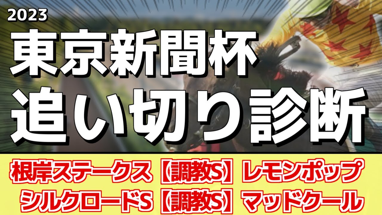 追い切り徹底解説!【東京新聞杯2023】ナミュール、ジャスティンカフェなどの状態はどうか?調教S評価は2頭!
