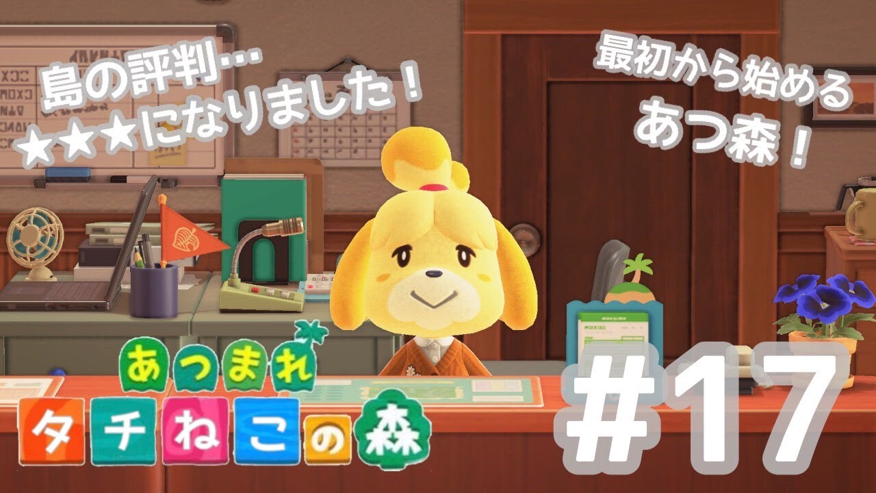 【あつ森 実況】#17 ついに島の評価が3つ星になりました!【あつまれ どうぶつの森|ムスコオブザワイルド島】