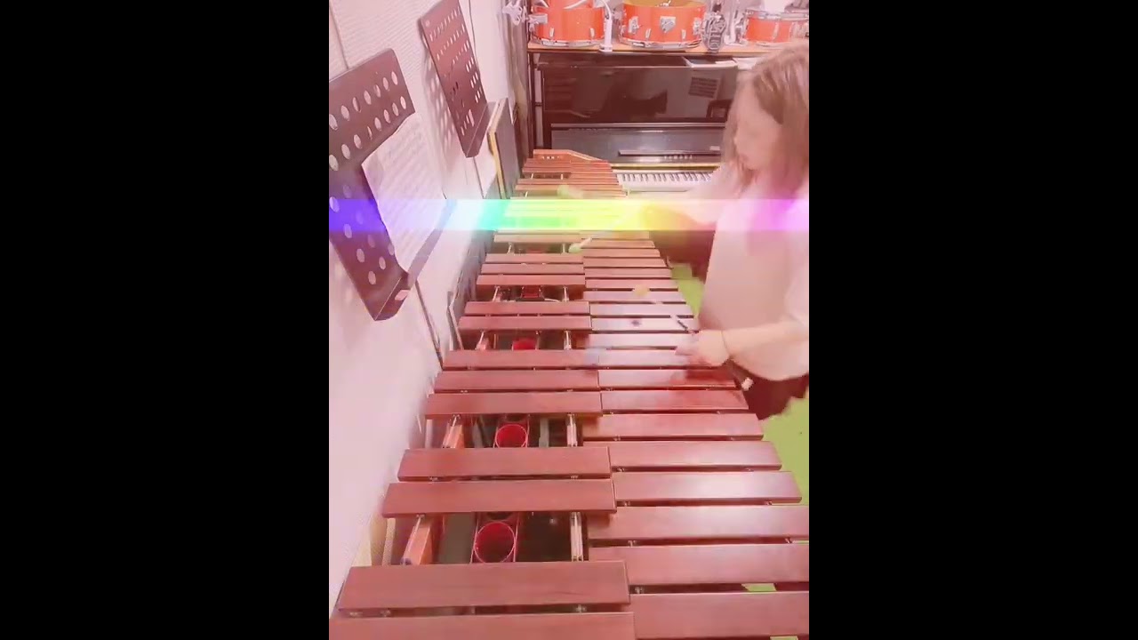 特捜9テーマ曲をマリンバで演奏♪