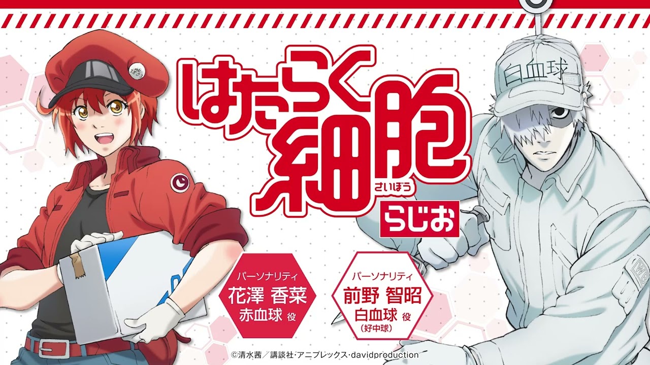 「はたらく細胞らじお」第2回 | アニメ「はたらく細胞」Blu-ray Disc BOX 4/5(水)発売