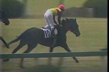 【華麗なる一族の末裔】アネモネ賞  ダイイチルビー 武豊 1990.3.24 3回阪神1日目   出走馬:ダンツビューティ、タマビッグホープ、アポロシーザー、ユーセイフェアリー他 #キャッスルリバー