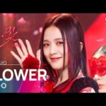 230409 JISOO - '꽃(FLOWER)' ソロデビューステージ @ SBS人気歌謡