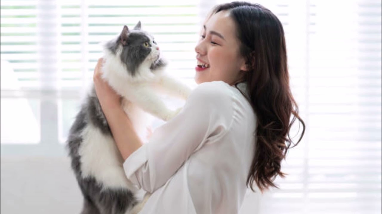 愛しい人 /SUPER BEAVER ドラマ「あのときキスしておけば」主題歌 ギター弾き語り vol 5