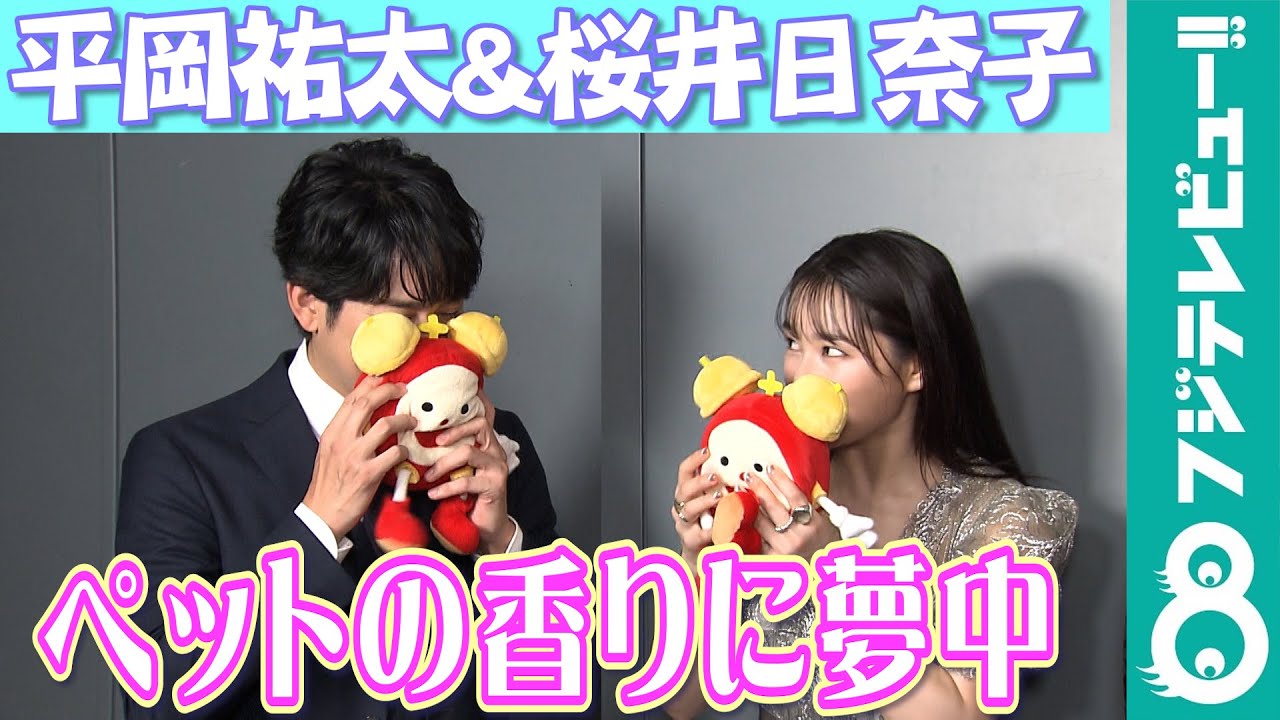 【めざまし独占】平岡祐太の愛犬への行為に、桜井日奈子が大きく共感