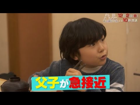 ドラマBiz「ハル ~総合商社の女~」第7話 主演:中谷美紀|テレビ東京