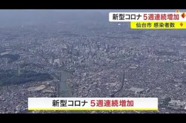 仙台市 新型コロナ感染者数5週連続増加…ヘルパンギーナ減少も警報レベル継続 (23/08/02 18:21)